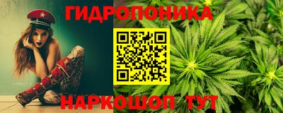 шишки Краснознаменск