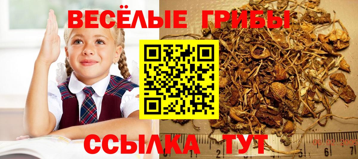 Коммунар  Галлюциногенные грибы MAGIC MUSHROOMS  Галлюциногенные грибы мицелий  закладки  Вход с VPN 